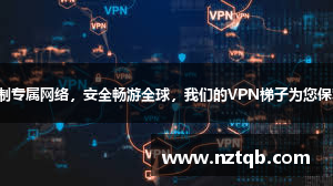 私人定制专属网络，安全畅游全球，我们的VPN梯子为您保驾护航！